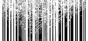 Bad Barcode